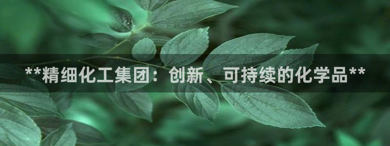 球盟会官网：**精细化工集团：创新、可持续的化学品**