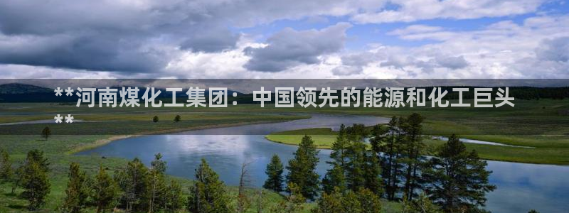 球盟会能退钱吗现在：**河南煤化工集团：中国领先的能源和化工