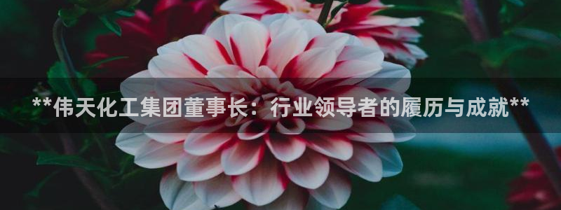 球盟会连接