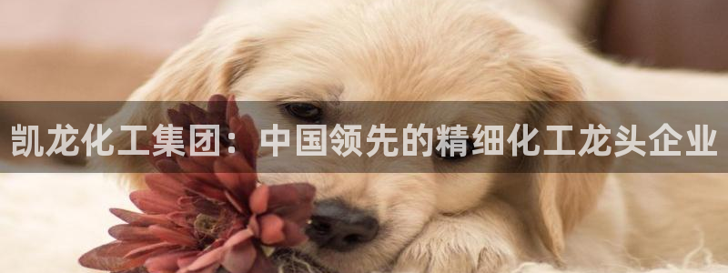 球盟会有限公司怎么样：凯龙化工集团：中国领先的精细化工龙头企