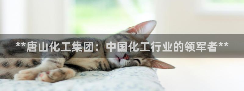 球盟会官方登录平台：**唐山化工集团：中国化工行业的领军者*