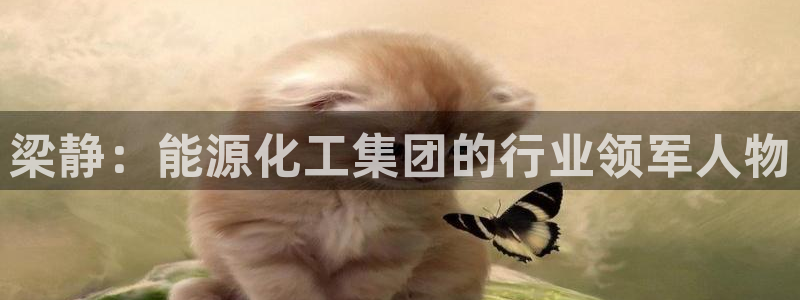 球盟会官方下载：梁静：能源化工集团的行业领军人物
