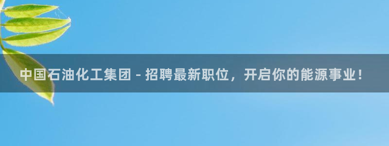 球盟会官方入口：中国石油化工集团 - 招聘最新职位，开启你的