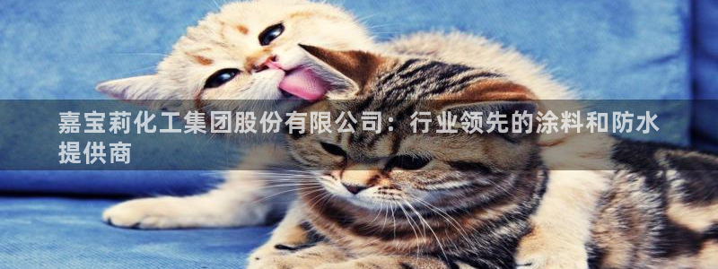 球盟会和中欧：嘉宝莉化工集团股份有限公司：行业领先的涂料和防