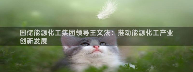 球盟会优惠领取网站是真的吗：国储能源化工集团领导王文法：推动