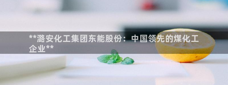 球盟会入口：**潞安化工集团东能股份：中国领先的煤化工
企业