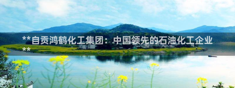 球盟会黑款吗知乎小说：**自贡鸿鹤化工集团：中国领先的石油化