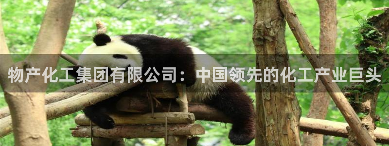 球盟会黑网：物产化工集团有限公司：中国领先的化工产业巨头