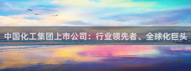 球盟会唯一：中国化工集团上市公司：行业领先者、全球化巨头
