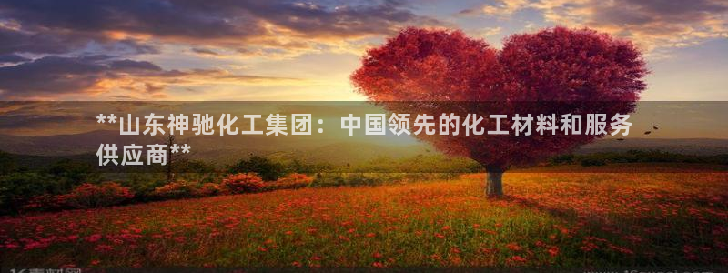 球盟会网址多少：**山东神驰化工集团：中国领先的化工材料和服