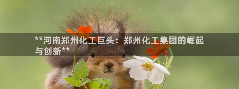 球盟会在线登入：**河南郑州化工巨头：郑州化工集团的崛起
与