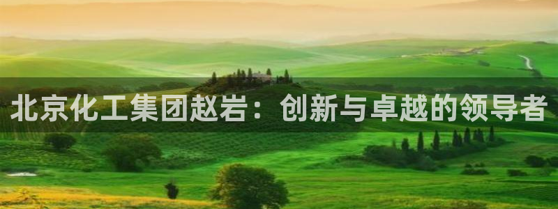 球盟会官方登录平台入口：北京化工集团赵岩：创新与卓越的领导者