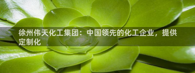 球盟会官方app首页入口