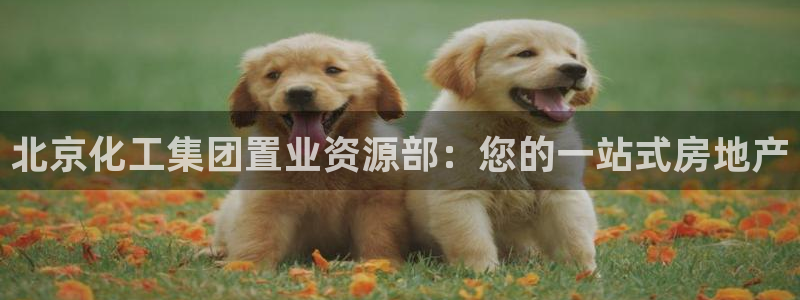 球盟会有没有黑单的：北京化工集团置业资源部：您的一站式房地产