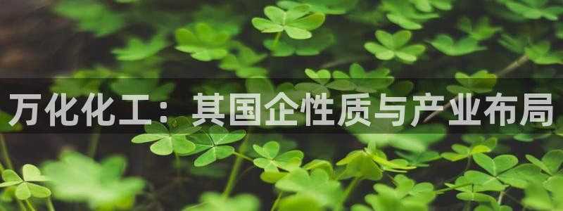 球盟会官网网页版：万化化工：其国企性质与产业布局