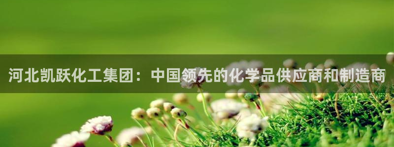 球盟会app最新地址在哪找：河北凯跃化工集团：中国领先的化学