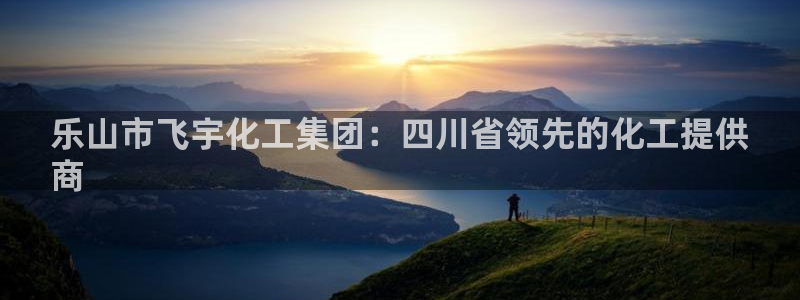 球盟会优惠券：乐山市飞宇化工集团：四川省领先的化工提供
商