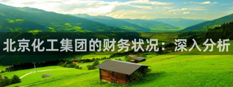球盟会登录平台入口：北京化工集团的财务状况：深入分析