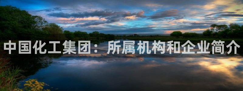 球盟会网址：中国化工集团：所属机构和企业简介