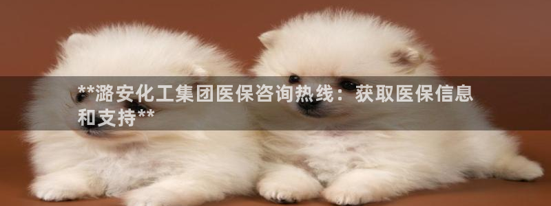 球盟会登陆：**潞安化工集团医保咨询热线：获取医保信息
和支