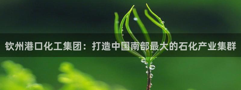 球盟会官方客服：钦州港口化工集团：打造中国南部最大的石化产业