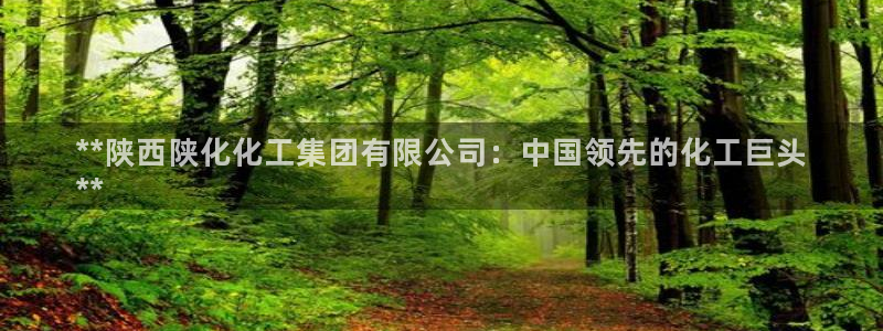 球盟会app入口