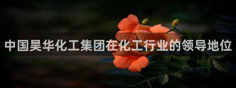 球盟会app