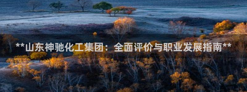 球盟会贴吧：**山东神驰化工集团：全面评价与职业发展指南**