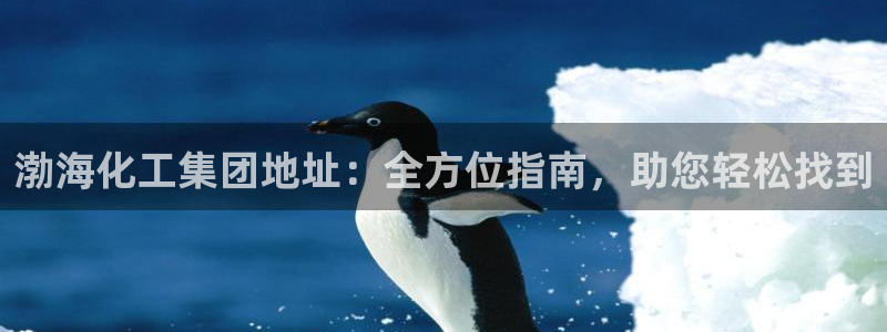 球盟会官方：渤海化工集团地址：全方位指南，助您轻松找到