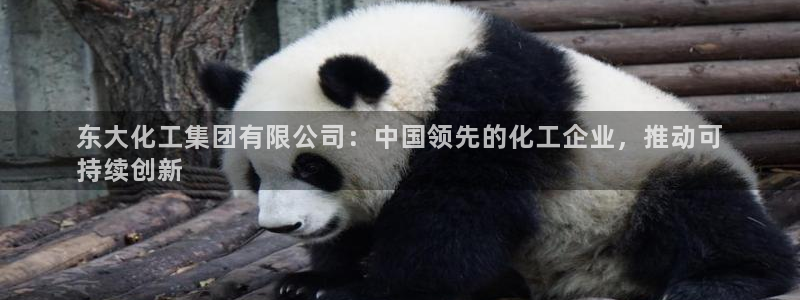 球盟会官方下载：东大化工集团有限公司：中国领先的化工企业，推