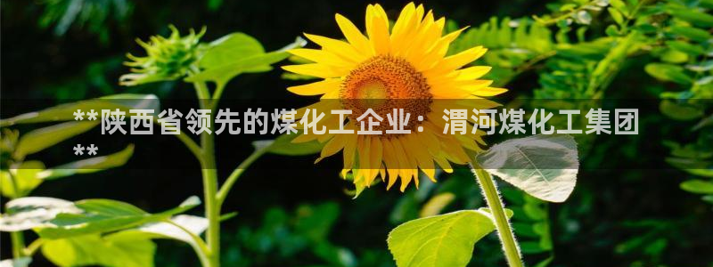 球盟会电子好黑：**陕西省领先的煤化工企业：渭河煤化工集团
