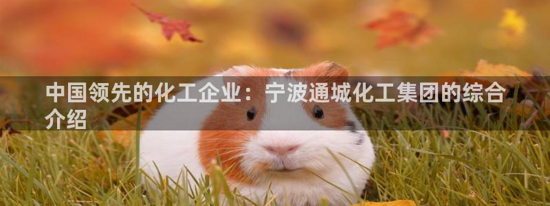 球盟会官方app首页入口：中国领先的化工企业：宁波通城化工集