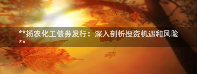 球盟会黑款吗还是白款：**扬农化工债券发行：深入剖析投资机遇