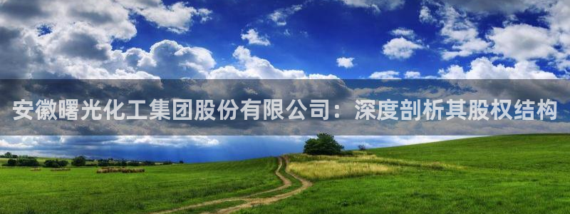球盟会中国官方网站：安徽曙光化工集团股份有限公司：深度剖析其