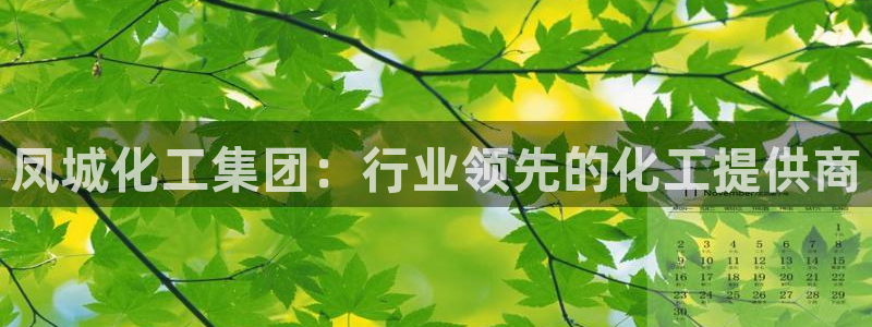 球盟会官方平台入口：凤城化工集团：行业领先的化工提供商