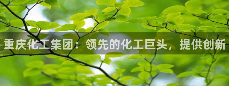 球盟会有没有黑单的：重庆化工集团：领先的化工巨头，提供创新