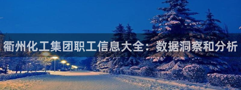 球盟会中国网页登录：衢州化工集团职工信息大全：数据洞察和分析