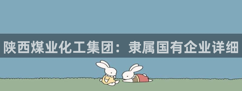 球盟会app最新地址下载：陕西煤业化工集团：隶属国有企业详细