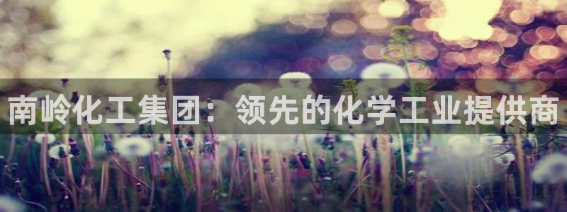 球盟会网址：南岭化工集团：领先的化学工业提供商