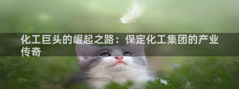 球盟会qm9：化工巨头的崛起之路：保定化工集团的产业
传奇