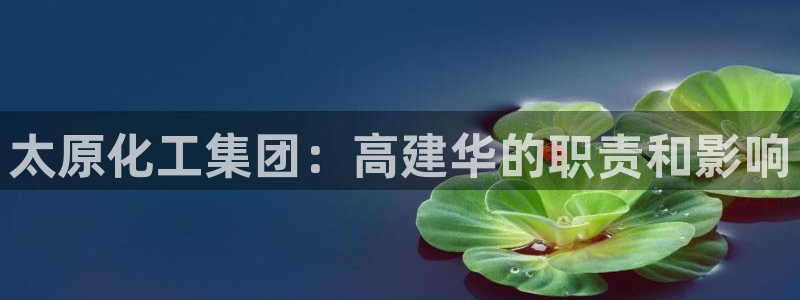 球盟会游戏：太原化工集团：高建华的职责和影响