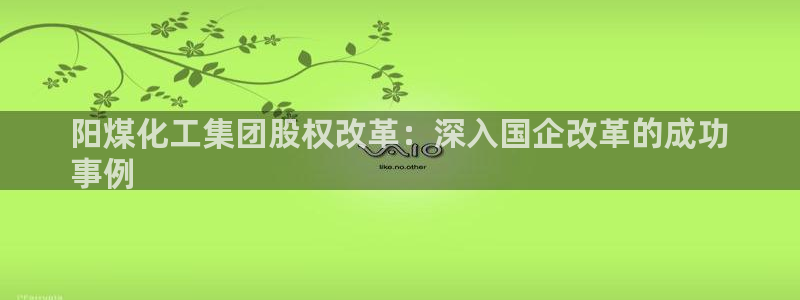 球盟会黑款吗知乎：阳煤化工集团股权改革：深入国企改革的成功
