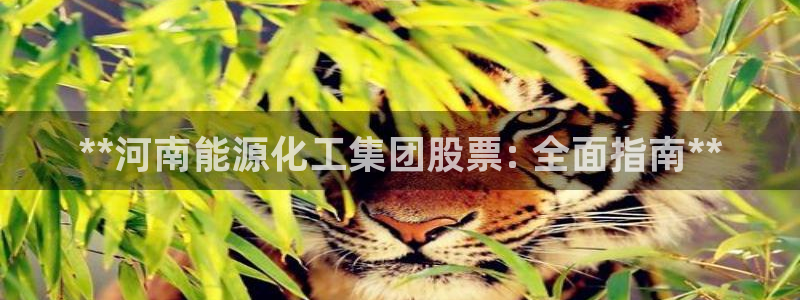 球盟会入口：**河南能源化工集团股票: 全面指南**
