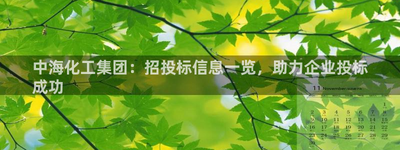 球盟会最新地址备用：中海化工集团：招投标信息一览，助力企业投