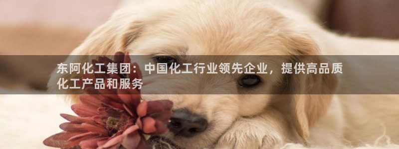 球盟会qmh - 球盟会官方网站：东阿化工集团：中国化工行业