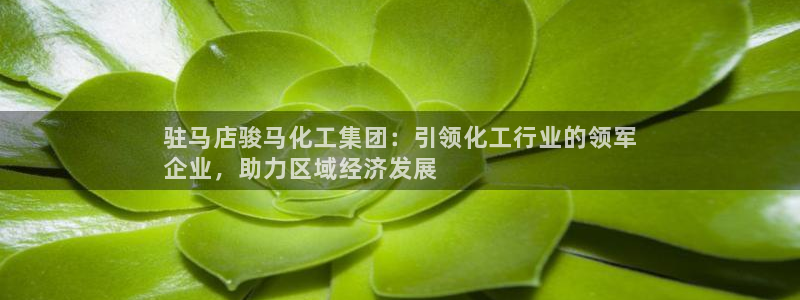球盟会提款支付宝怎么样：驻马店骏马化工集团：引领化工行业的领