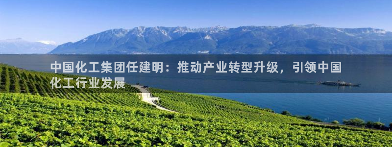 球盟会官网app下载：中国化工集团任建明：推动产业转型升级，