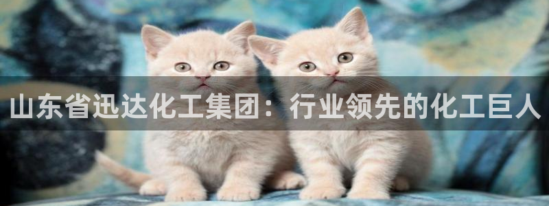 球盟会登陆入口：山东省迅达化工集团：行业领先的化工巨人