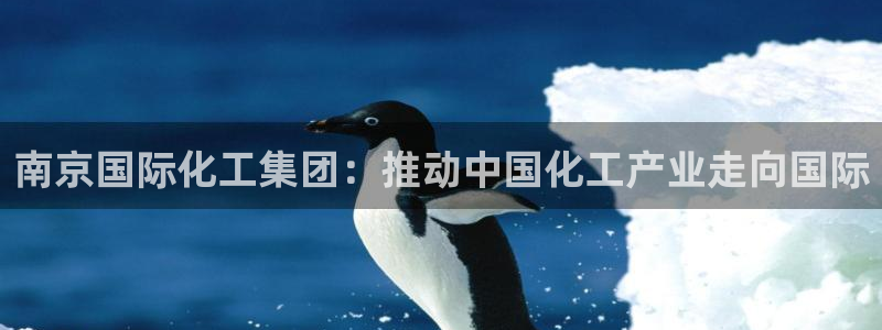 球盟会qm8597：南京国际化工集团：推动中国化工产业走向国