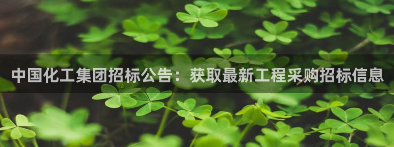 球盟会网址qm9 - 球盟会qmh网页版登录：中国化工集团招